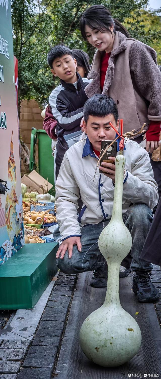 俞见|把葫芦带回家