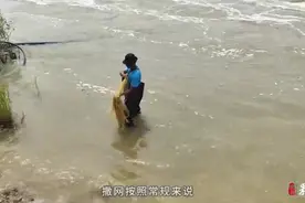 果然视频｜沂河撒网捕鱼屡禁不止！临沂农业部门：严查非法捕捞图片