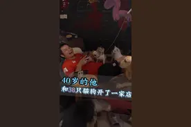 长沙这家“网红”宠咖，十年救助近千只流浪猫狗图片