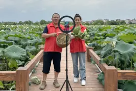 一抹“香溢红” 传递为民服务正能量图片