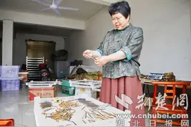 襄阳樊城打造鄂西北最具影响力地产中药材集散地图片