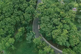 天府骑行绿道WonderRide·享骑环动全线开放图片