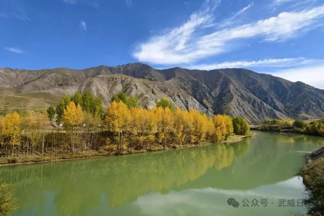 组图｜沿武仙高速 邂逅祁连秋景①