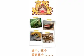 警惕！这些被孩子捧上天的另类宠物竟然这么“毒”？图片
