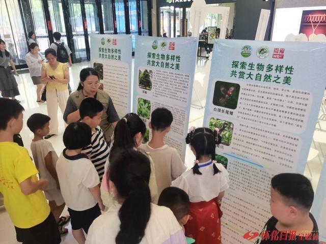 怀化开展生物多样性科普体验活动