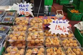 早春枇杷价格“跳水”？走访：普遍二三十元一斤，本地枇杷4月中下旬上市图片