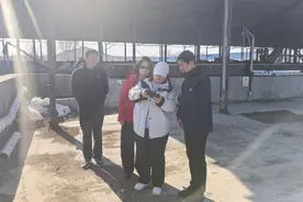 春季攻势丨刘伟暗访齐齐哈尔市畜禽养殖污染治理情况图片