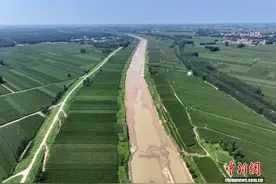 山东近期天气整体利于秋作物成熟收获 冬小麦始播期预计略偏晚图片