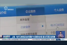 上海：电子口岸签证试点范围扩大至浦东全域 超30万家企业受惠视频封面
