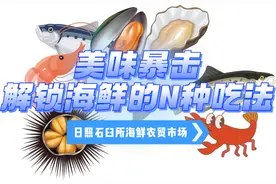 现买现做现吃！100元在日照能吃多少海鲜？图片