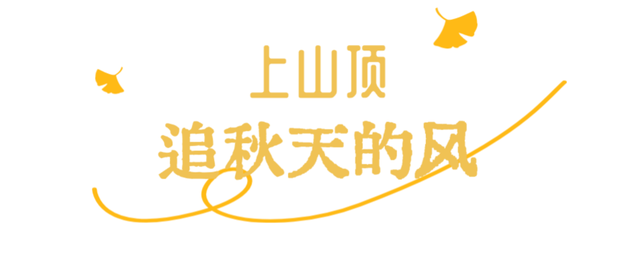 武昌赏秋天花板！这条被推荐100次的山路，迎来最美时刻