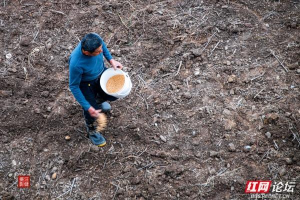 别追景点了！安乡这两个村，全是乡村最接地气的鲜活