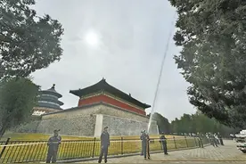 重点公园林区柏树每日三洗去花粉图片