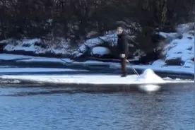 “你大爷永远是你大爷” 冰排上“随波逐流”图片