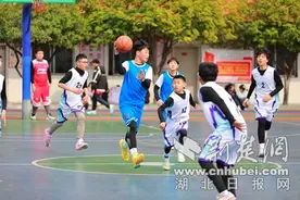 樊城区小学生篮球赛圆满结束图片