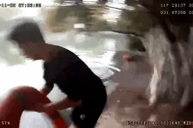 为了这件事，75岁、64岁、56岁的他们同时跳入水中……图片