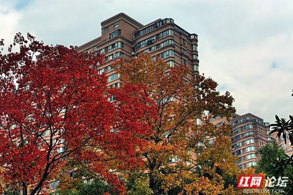 圭塘河生态公园：时光漫过木栈道，城与自然撞满怀