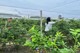 湖南东安为基层干部实干之路降压减负图片