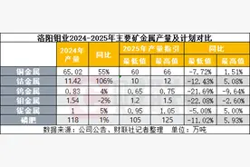 2024年净利预计同比增长超五成 洛阳钼业创上市来最好业绩|财报解读图片