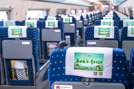 1月5日首发！“信阳毛尖号”动车组列车将正式运营图片