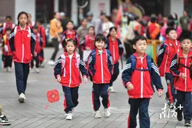 合集！清城区2025年各镇（街道）学区划分及招生指南图片