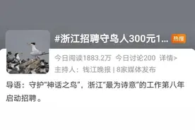 11位“守鸟人”应聘成功，让大自然富有诗意就是值得的图片