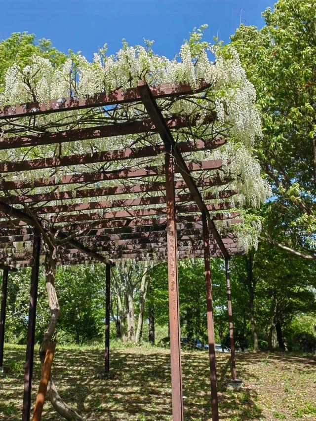 春假要来了！桐乡这些景区对中小学生免费→