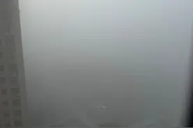 大雾袭来！今天凌晨，浙江多个高速口关闭图片