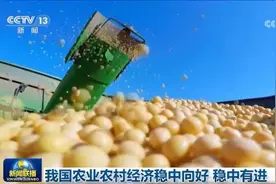 我国农业农村经济稳中向好 稳中有进图片