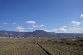 科技赋能，保山5000亩“粮田”变“良田”图片