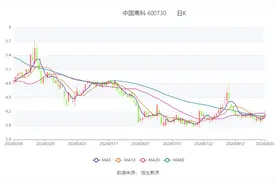 中国高科：2024年上半年净利润2177.23万元 同比增长1162.97%图片