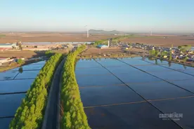 巴彦县：从富饶之乡到兴隆古镇，“四好农村路”见证和美乡村新蝶变图片