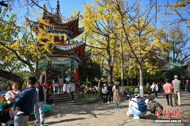 大雪节气云南昆明温暖如春