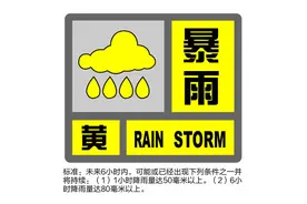 上海发布暴雨黄色预警，全市启动防汛防台三级响应行动图片