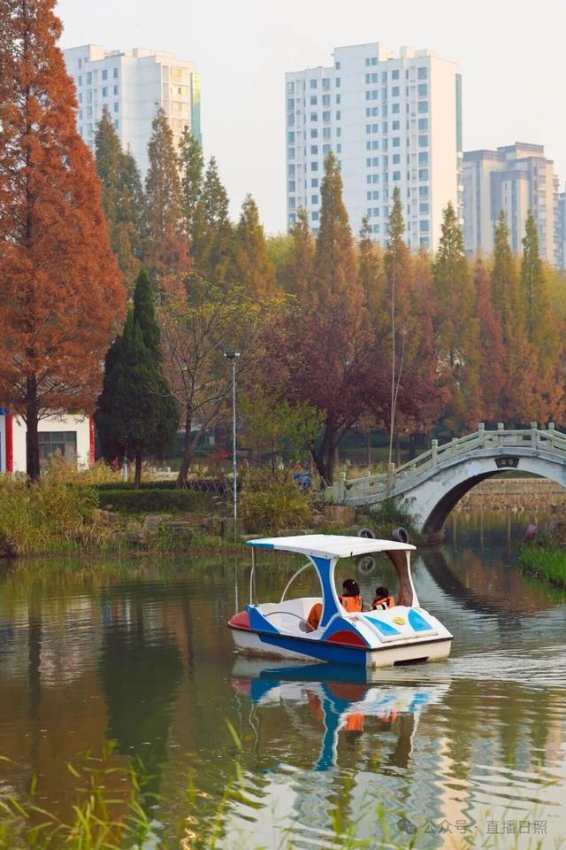 一分钟！我要知道日照这里的所有信息→