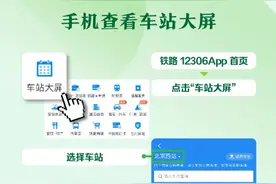 12306实用功能教你用图片