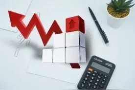 南兴股份上半年延续高分红，拥抱进口替代、数字经济两大主业各有看点图片