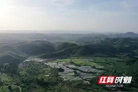 湖南新田：水田如镜美如画（组图）图片