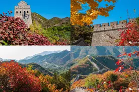 北京渐入深秋，万里长城“披红”！绿色出行攻略来了图片