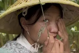 知名网红被曝送养女儿，当地民政局回应图片