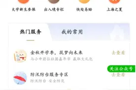 证照管理更智能，随申办亮证服务展示更便捷！图片