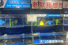 突然暴涨：最贵150元/斤！还可能买不到！很多义乌人爱吃！图片