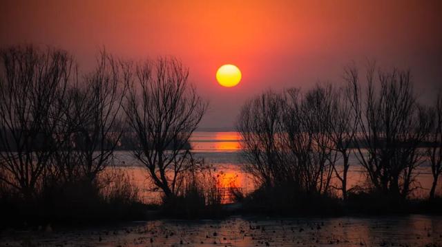 任克威·邂逅星城｜于湖大深秋，于湘江夜色