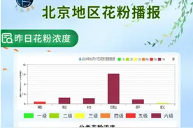 春季花粉过敏高发 “过敏星人”如何有效防护和应对？图片