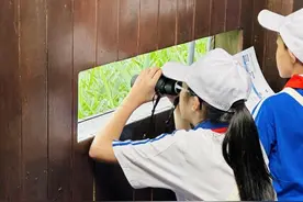 每周花半天时间外出“观鸟”，这所深圳学校校外实践课有趣图片