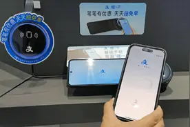 连续四周，每周六10点开抢！郑州消费券来了图片