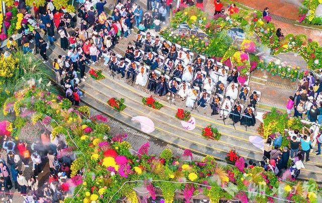 现场火爆！武汉今秋最大花展开幕