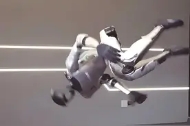 五花八门的具身智能机器人图片