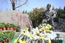 “长眠于泰山脚下，是先生的遗愿” 杨辛先生骨灰在泰安安葬图片