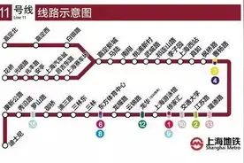 迪士尼、海昌、野生动物园、新场古镇……春节人气景点出行攻略请收好图片